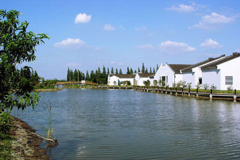 [蒋巷村]  蒋巷村 景区信息发布: 蒋巷村,江南水乡一颗璀璨明珠,位于